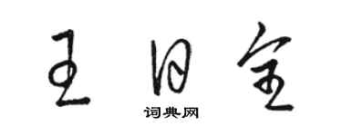 駱恆光王日全草書個性簽名怎么寫