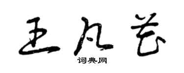 曾慶福王凡花草書個性簽名怎么寫