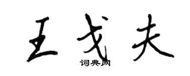 王正良王戈夫行書個性簽名怎么寫