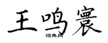 丁謙王鳴寰楷書個性簽名怎么寫