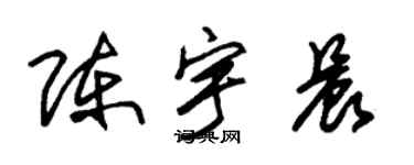 朱錫榮陳宇晨草書個性簽名怎么寫