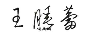 駱恆光王睡蕾草書個性簽名怎么寫