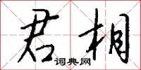 君統的意思_君統的解釋_國語詞典