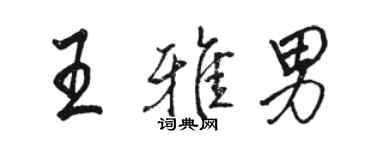 駱恆光王雅男行書個性簽名怎么寫