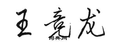 駱恆光王競龍行書個性簽名怎么寫