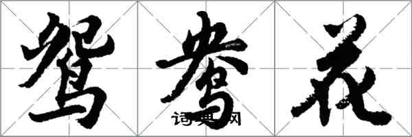 胡問遂鴛鴦花行書怎么寫