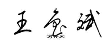 梁錦英王魯斌草書個性簽名怎么寫