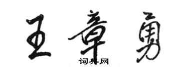 駱恆光王章勇行書個性簽名怎么寫
