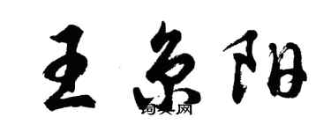 胡問遂王京陽行書個性簽名怎么寫