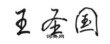 駱恆光王聖國行書個性簽名怎么寫