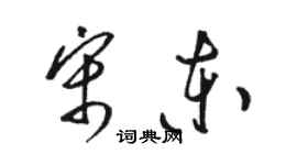 駱恆光宋東草書個性簽名怎么寫