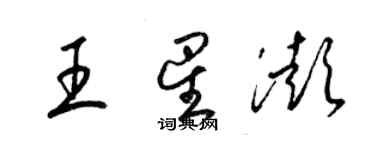 梁錦英王星澎草書個性簽名怎么寫