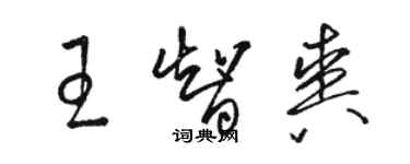 駱恆光王智爽草書個性簽名怎么寫