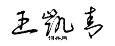 曾慶福王凱青草書個性簽名怎么寫