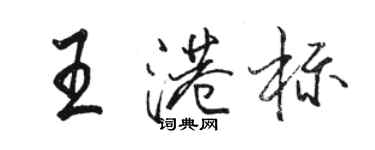 駱恆光王港標行書個性簽名怎么寫