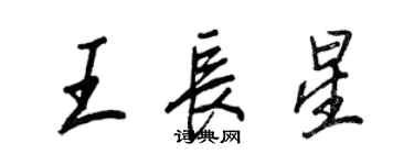 王正良王長星行書個性簽名怎么寫