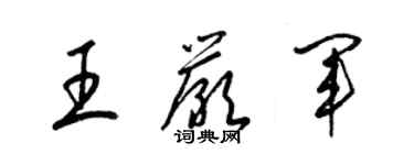 梁錦英王嚴軍草書個性簽名怎么寫