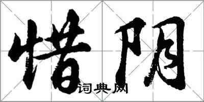 胡問遂惜陰行書怎么寫