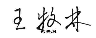 駱恆光王牧林草書個性簽名怎么寫