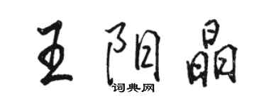 駱恆光王陽晶行書個性簽名怎么寫