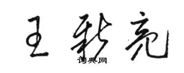 駱恆光王新亮草書個性簽名怎么寫