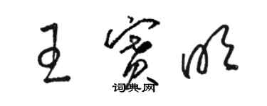 駱恆光王賽明草書個性簽名怎么寫