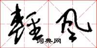 劉少英輕風草書怎么寫