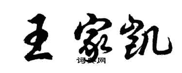 胡問遂王家凱行書個性簽名怎么寫