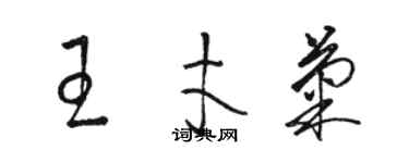 駱恆光王才菊草書個性簽名怎么寫