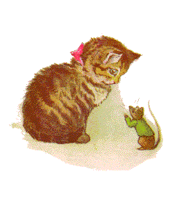 小貓毛毛的故事