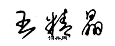 朱錫榮王精晶草書個性簽名怎么寫