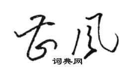 駱恆光曹風草書個性簽名怎么寫