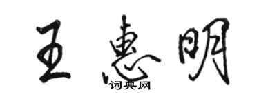 駱恆光王惠明行書個性簽名怎么寫