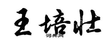 胡問遂王培壯行書個性簽名怎么寫