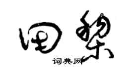 曾慶福田黎草書個性簽名怎么寫