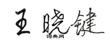 駱恆光王曉鍵行書個性簽名怎么寫