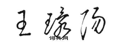 駱恆光王環陽草書個性簽名怎么寫