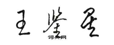 駱恆光王鑑星草書個性簽名怎么寫