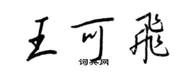 王正良王可飛行書個性簽名怎么寫