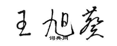 駱恆光王旭葵草書個性簽名怎么寫