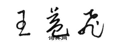 駱恆光王益飛草書個性簽名怎么寫