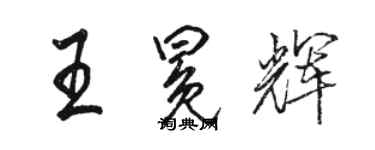 駱恆光王冕輝行書個性簽名怎么寫