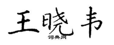 丁謙王曉韋楷書個性簽名怎么寫