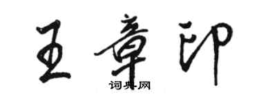 駱恆光王章印行書個性簽名怎么寫