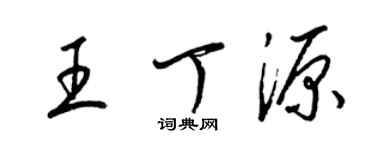 梁錦英王丁源草書個性簽名怎么寫