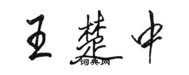 駱恆光王楚中行書個性簽名怎么寫