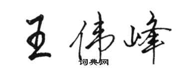 駱恆光王偉峰行書個性簽名怎么寫
