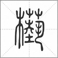 𣞕小篆