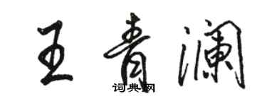 駱恆光王青瀾行書個性簽名怎么寫