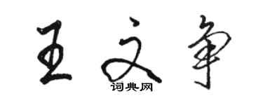 駱恆光王文爭行書個性簽名怎么寫